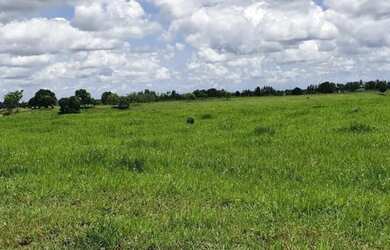 Imagem 15: Oportunidade Fazenda em São Felipe, 375 Tarefas, rio margeando, Porteira...
