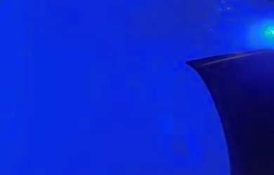 Imagem: A casa possui 2 Dormitórios e 5 Vagas na garagem e está localizado