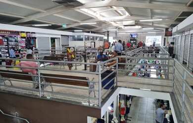 Imagem: O depósito está localizado em Setor Norte Ferroviario, Goiânia