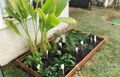 Imagem 11: Quintas de Tamboré - Quintas de Tamboré