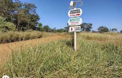 Imagem: A fazenda possui 10m² de Área e está localizado em Morrinhos