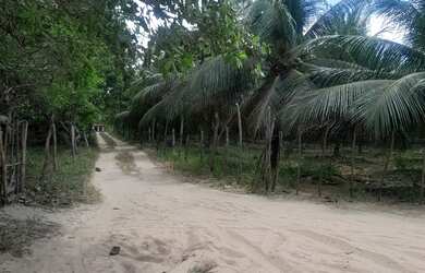 Imagem: O terreno possui 7.200m² de Área e está localizado em Parangaba