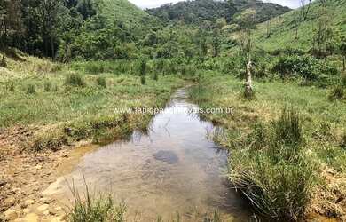 Imagem 5: Fabio Paes Imóveis - Fazenda a venda com 484 ha com Geo e capacidade 450 vacas