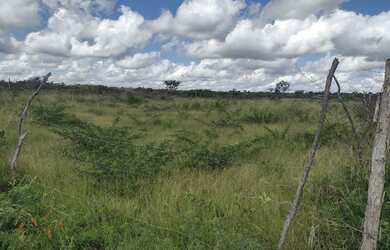 Imagem: O terreno à venda possui e está localizado em Conceição