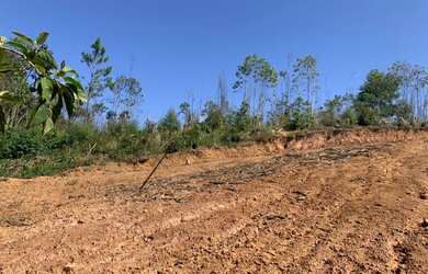 Imagem 1: sb- lote a venda. 