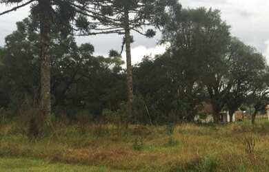 Imagem 3: Terreno no centro de Palmeira