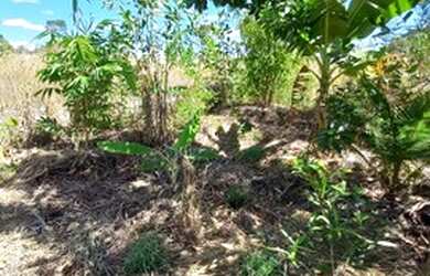 Imagem 1: Terreno 1 hectare. 10.000m² de Área