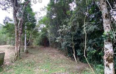 Imagem 3: Chacrinha oportunidade única 800 mts do asfalto 3900