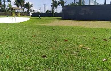 Imagem 7: CEL-30 -71 Loteamento Green Club lotes com tamanhos diferenciados