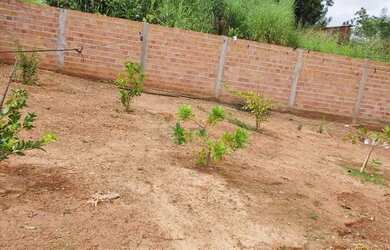 Imagem 6: Venda urgente. Piscina, 1 Banheiroe3 Dormitórios
