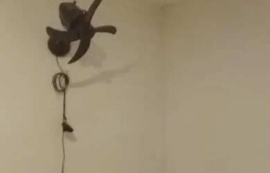 Imagem 5: Casa perto de tudo. 72m² de Áreae2 Dormitórios