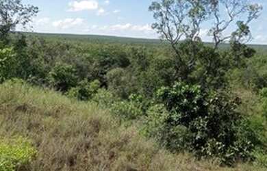 Imagem 1: Vendo fazenda em Rio Sono TO