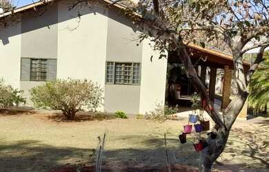 Imagem 3: Sitio de seringueira a venda em Floreal