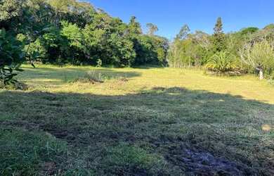 Imagem 8: Sítio Plano E Com Nascente Para Fazer Açude. ROB:630