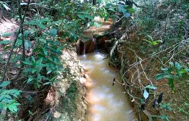 Imagem: A fazenda está localizado em Jaboticatubas, MG à venda por