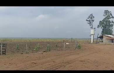 Imagem 8: Oportunidade Vende-se uma excelente fazenda de 2000 hectares