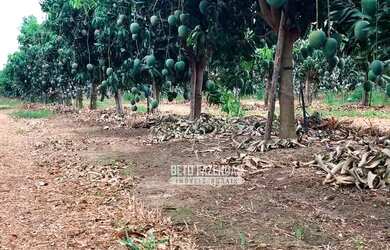 Imagem 3: Imóvel para venda possui 857000 metros quadrados em Centro - Matias Cardoso...