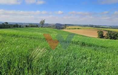 Imagem 10: Chácara 20.000m em Araucária Frente Asfalto, Vista Linda e Zona de Expansão...
