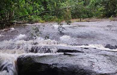Imagem 11: Vendo ou troco por casa ou terreno em boa vista