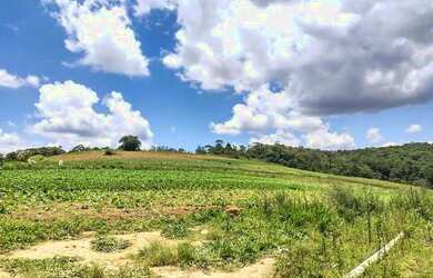 Imagem 13: Lote/Terreno para venda tem 500 metros quadrados em Jardim São Pedro...
