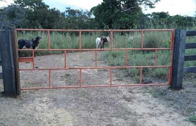 Imagem 3: Fazenda, a 59 km de Palmas, 6.8 Alqueires, Água por Gravidade