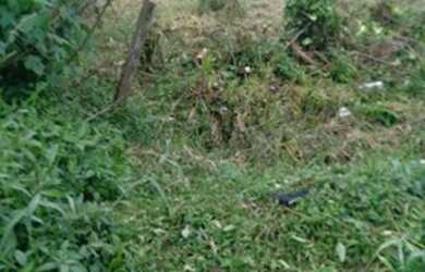 Imagem 2: Vendo terreno. 250m² de Área