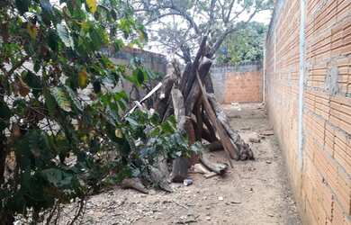 Imagem 3: Lote no Bairro Maracanã Favor ler a Descrição