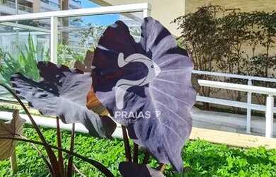 Imagem 7: RIVIERA DE SãO LOURENçO - Apartamento Padrão - Módulo 08