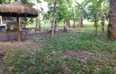 Imagem 2: Terreno a venda Savoia. 300.000m² de Área