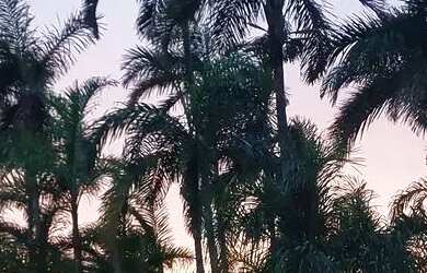 Imagem: O quarto possui 1 Dormitório e 5 Vagas na garagem e está localizado