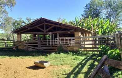 Imagem 3: 300 Hectares à Venda em Área de Plantio
