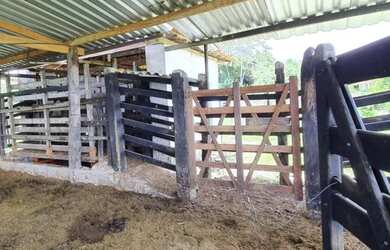 Imagem 3: Oportunidade Fazenda em São Felipe, 375 Tarefas, rio margeando, Porteira...