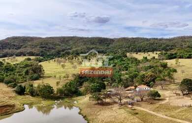 Imagem 4: Fazenda 47,5 alqueires 229,3 hectares Piracanjuba - Go