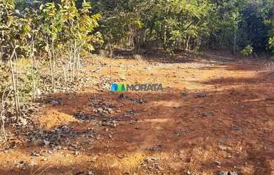 Imagem: FAZENDA À VENDA - 193 HECTARES - INIMUTABA (MG