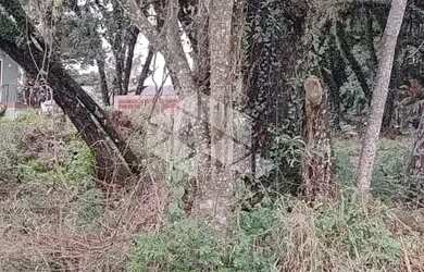 Imagem 4: terrebo de esquina com 1084m² Canela