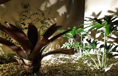 Imagem 16: Oportunidade praticamente pé na areia na Barra de Ibiraquera - Imbituba...