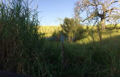 Imagem 6: terreno - Sousas - Campinas