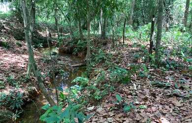 Imagem: A chácara possui 6.000m² de Área e está localizado em Plano