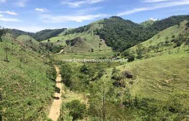Imagem 8: Fabio Paes Imóveis - Fazenda a venda com 484 ha com Geo e capacidade 450 vacas