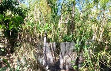 Imagem 2: Terreno 1 hectare. 10.000m² de Área