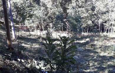 Imagem: Chácara Mantiqueira