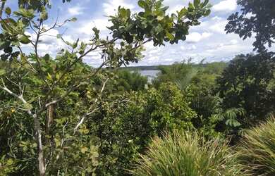 Imagem 6: Vendo chacara no serra da mesa são 5 lotes