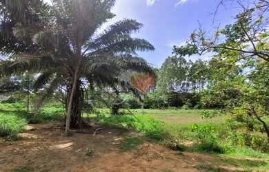 Imagem: O terreno possui 3.200m² de Área e está localizado em Novo