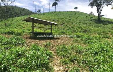 Imagem 15: Fabio Paes Imóveis - Fazenda a venda com 484 ha com Geo e capacidade 450 vacas