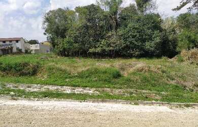 Imagem: Terreno - Pilarzinho