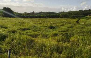 Imagem 2: Lote/Terreno para venda com 23000 metros quadrados em Zona Rural - Balneário Piçarras - SC