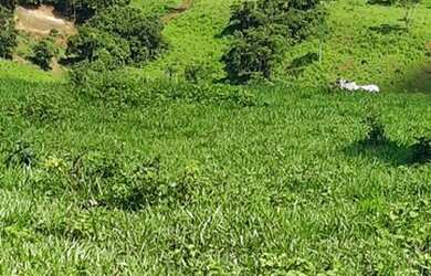 Imagem: A fazenda possui 10.890.000m² de Área e está localizado