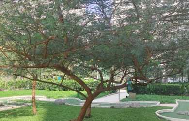 Imagem 16: Apartamento de 3 quartos, Cidade Jardim