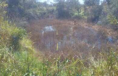 Imagem: A fazenda possui 1000m² de Área e está localizado em Centro