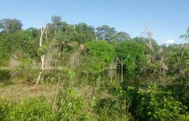 Imagem 4: Terreno na BR-319